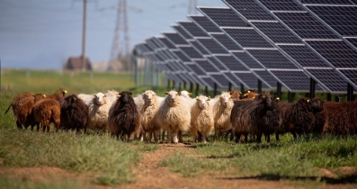 Mark Sign kliento Saulės grąža, kuris stato saulės elektrines, istorija